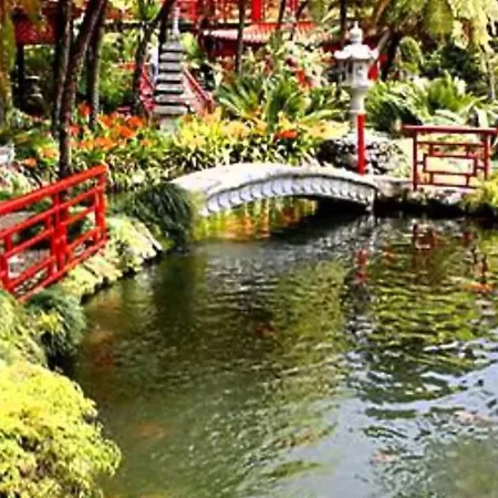 Madeira Livramento * Funchal (Madeira)